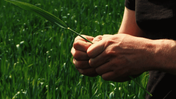 Contexte GIF